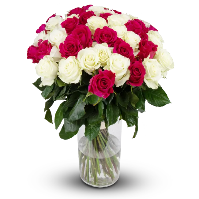 Flowers of ecuadorian roses